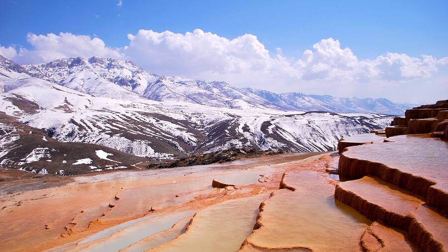 Badab Soort